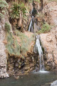 IMG_7015