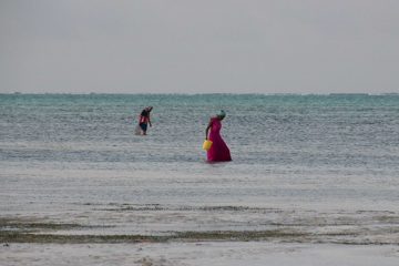 IMG_7807