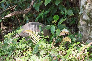 IMG_8665