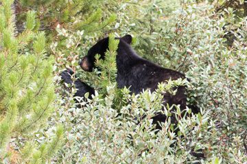 IMG_0400