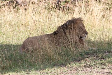 IMG_7523