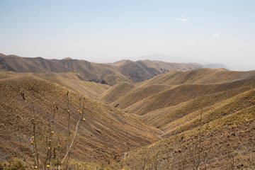 IMG_6735