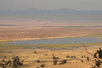 IMG_6473