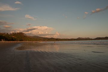 IMG_8871
