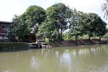 IMG_0252.jpg