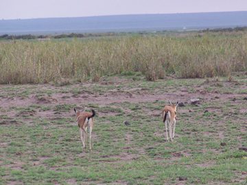 100_1272.jpg