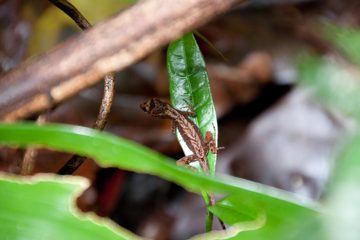 20022012-149.jpg