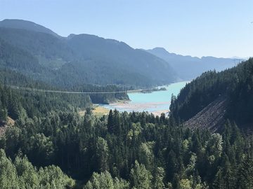 IMG_3184