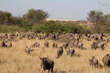 IMG_7759