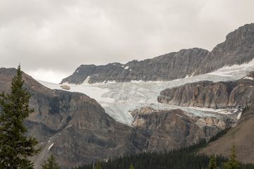 IMG_0316