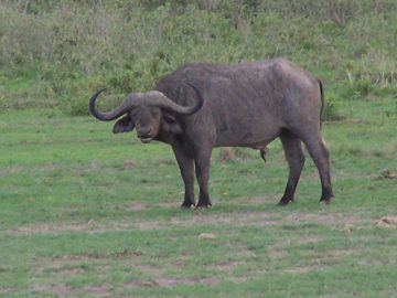 100_1281.jpg