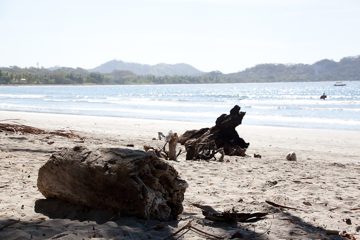 29022012-47.jpg