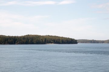 IMG_0883