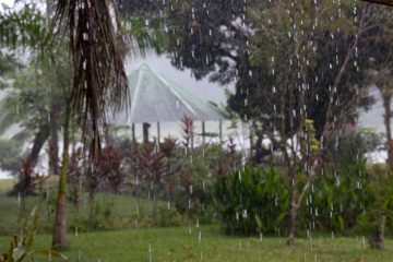20022012-155.jpg