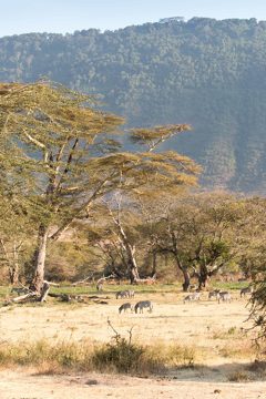 IMG_6455