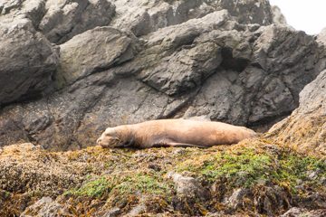IMG_0863
