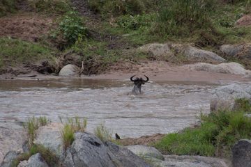 P-IMG_6707-2