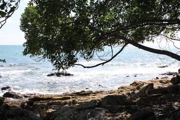 IMG_0720.jpg