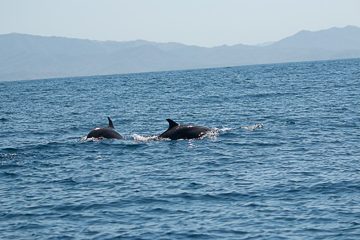 IMG_8851