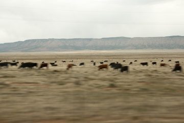 28042016-1459