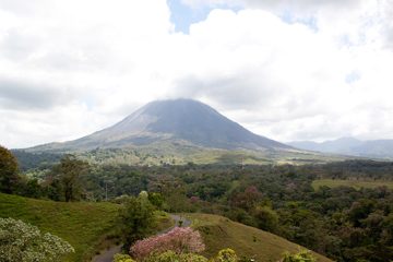 22022012-28.jpg