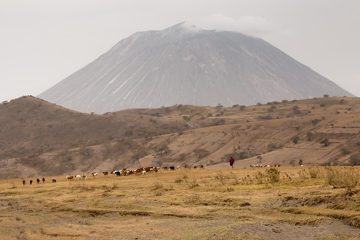 IMG_6637