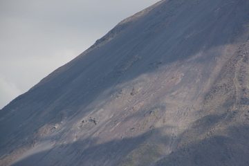IMG_2637.jpg