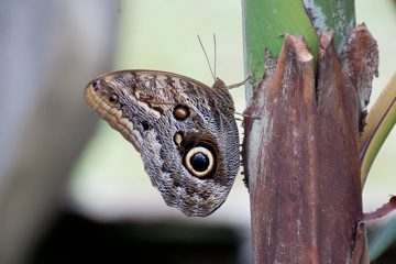 25022012-11.jpg