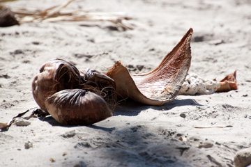 29022012-88.jpg