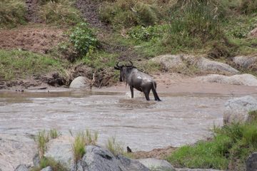 P-IMG_6709-2