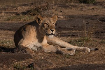 IMG_7271-2