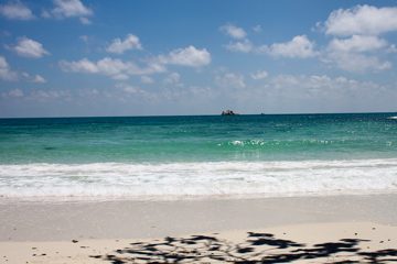 IMG_0748.jpg