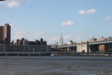 IMG_1403.jpg