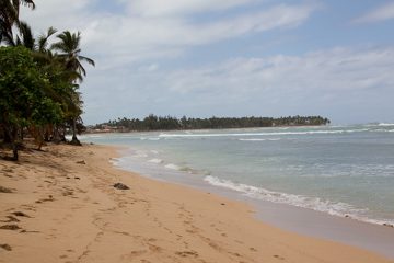 10032013-124.jpg