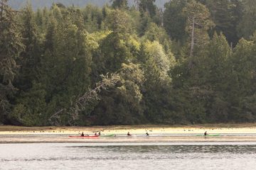 IMG_0870