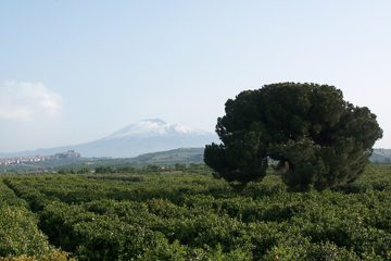 100_2204.jpg