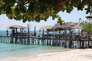 IMG_0741.jpg