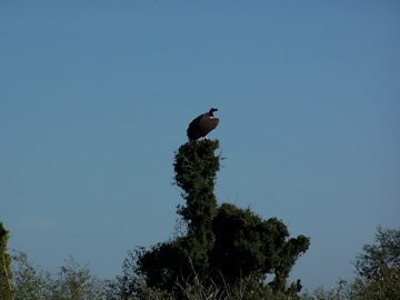100_1572.jpg