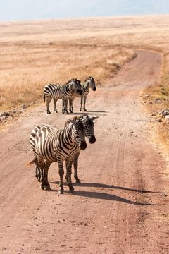 IMG_6363
