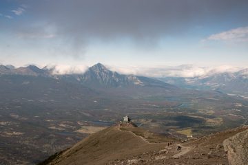 IMG_9993