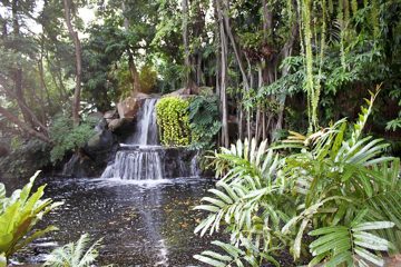 IMG_0163.jpg