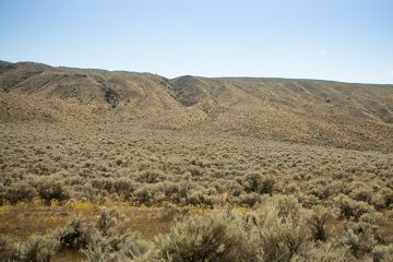 IMG_9868