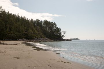 IMG_0874