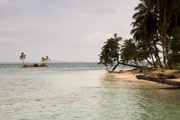 IMG_5520