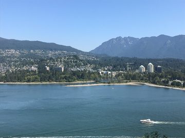 IMG_3145