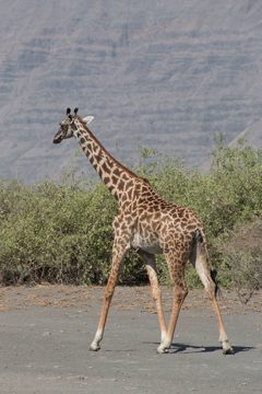 IMG_6961
