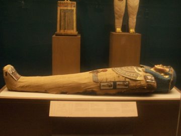 100_0393.jpg
