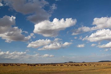 P-IMG_6788-2