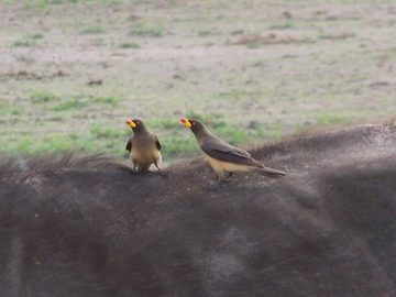 100_1164.jpg
