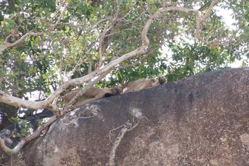 P-IMG_6912-2